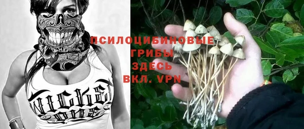 стафф Абаза