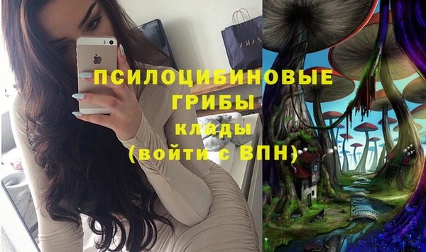 гидра Алексеевка